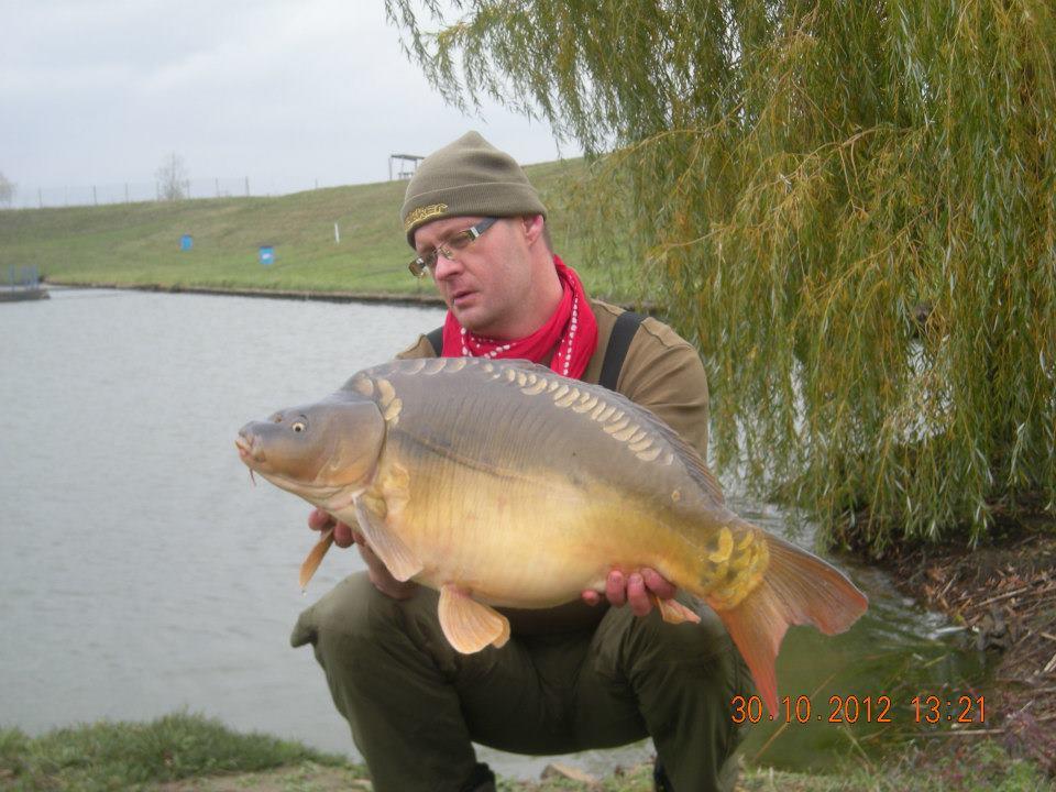 CONCURS LIKE-URI  - VOT PE FACEBOOK  - Alain Stangaciu